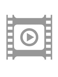 TRANSFORMERS: RISE OF THE BEASTS